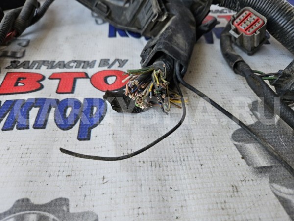 Проводка ДВС Ford Fusion 