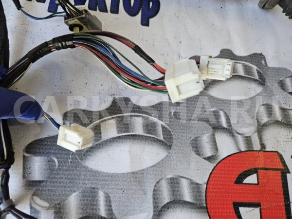 Проводка двери Nissan Teana 