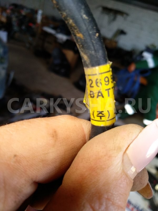Клемма аккумулятора минус Ssang Yong Kyron 